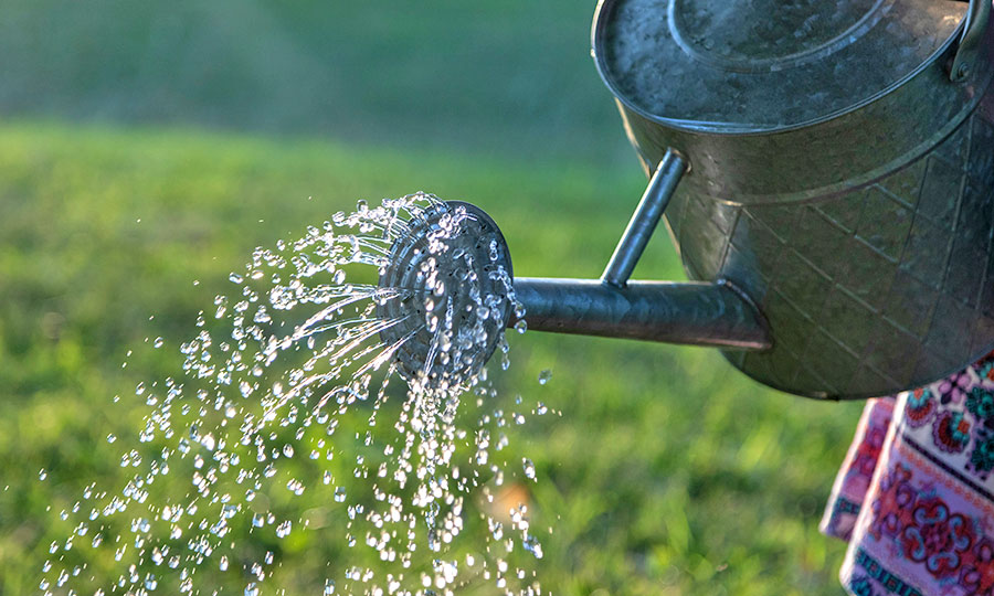 Domestic Help Cairns